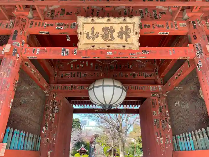 護国寺の山門・神門