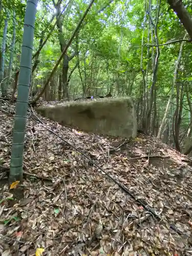 安仁神社の自然