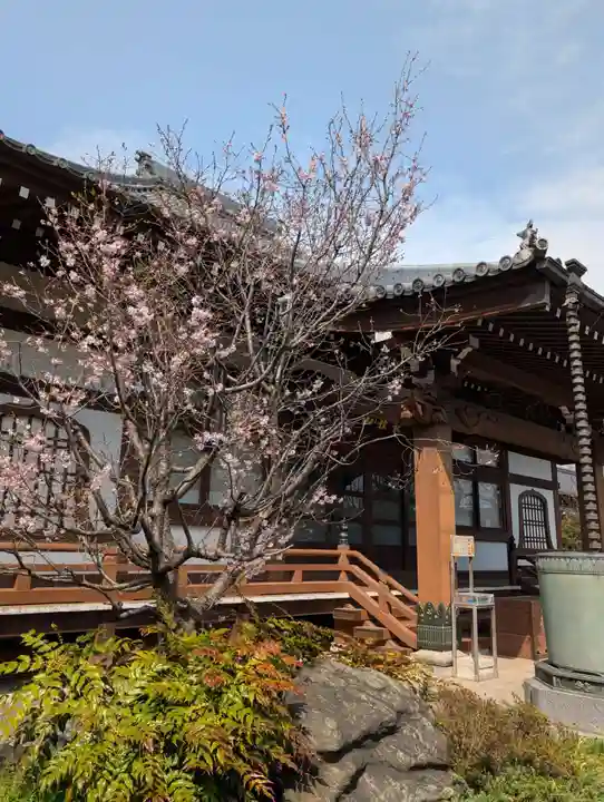 養源寺(東京都)