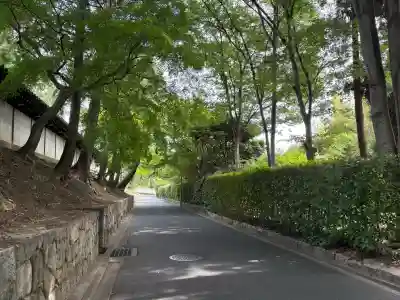 東福禅寺（東福寺）(京都府)