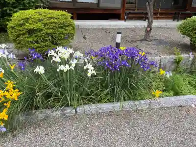 護船観音 妙法禅寺の{uncategorized: "未分類", other: "その他", undefined: "問題あり", building: "その他建物", grave: "お墓", sacred_gate: "鳥居", guardian: "狛犬", statue: "像", buddha: "仏像", history: "歴史", nature: "自然", garden: "庭園", animal: "動物", pagoda: "塔", temizu: "手水舎", mountain_gate: "山門・神門", sanctuary: "本殿・本堂", subordinate: "末社・摂社", art: "芸術", scenery: "景色", jizo: "地蔵", ema: "絵馬", goshuin: "御朱印", omikuji: "おみくじ", items: "授与品その他", amulet: "お守り", goshuincho: "御朱印帳", eats: "食事", festival: "お祭り", votive_dance: "神楽", shichigosan: "七五三参", wedding: "結婚式", experience: "体験その他", initially: "初詣", around: "周辺", anti_infection: "感染症対策"}