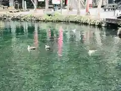 涌釜神社の庭園