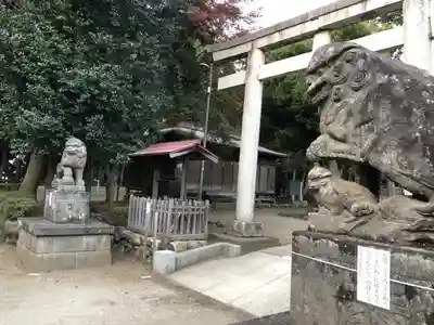 出雲伊波比神社の狛犬