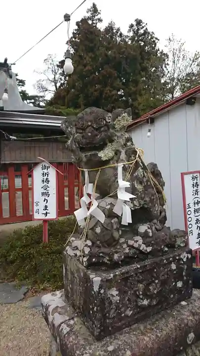 荒雄神社の狛犬