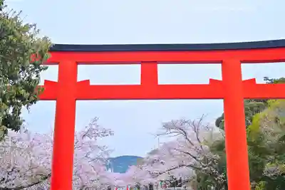 富士山本宮浅間大社(静岡県)