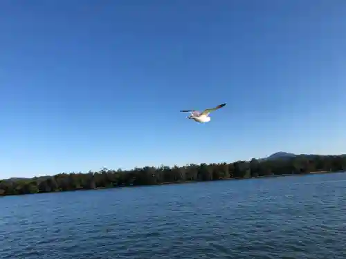 丹後一ノ宮 元伊勢 籠神社の動物
