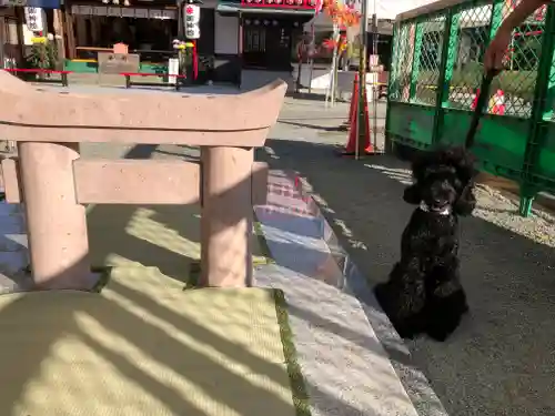 粟嶋神社の鳥居