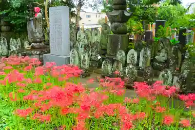 宝蔵院(東京都)