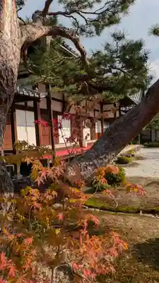 鹿王院(京都府)