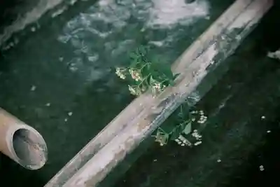 酬恩庵一休寺の手水舎