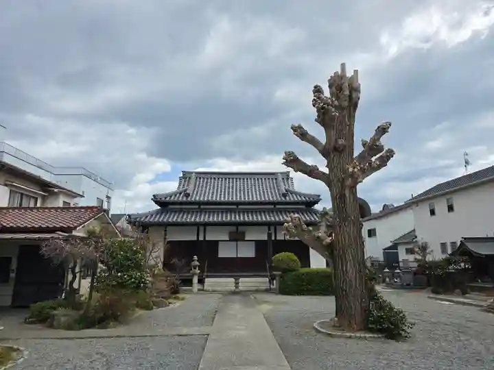 常清寺(兵庫県)