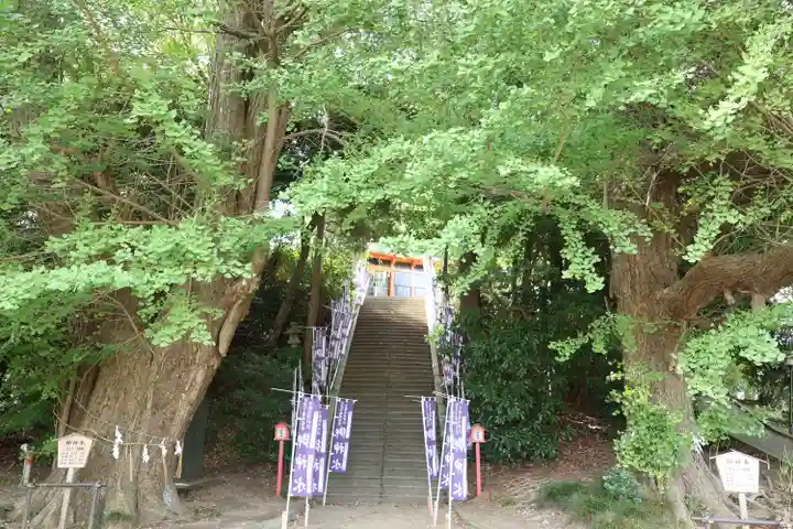浅間神社(千葉県)