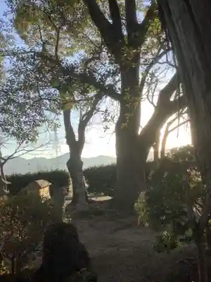 烏杜天神社（楽田天神）の自然