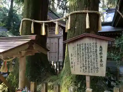 高千穂神社(宮崎県)