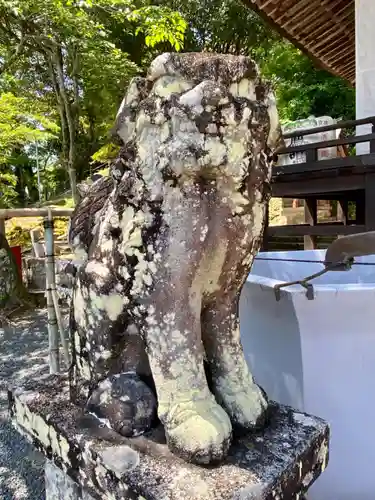 篠山春日神社の狛犬