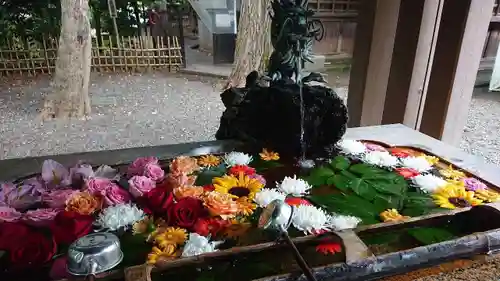 世田谷八幡宮(東京都)