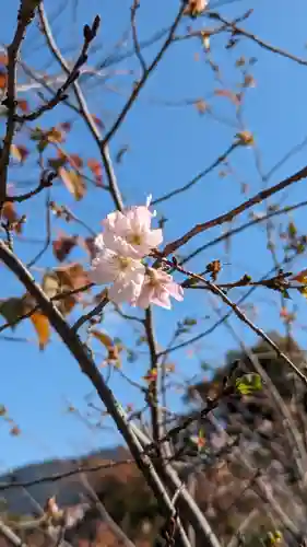 勧修寺(京都府)