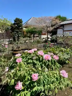 禅定院の{uncategorized: "未分類", other: "その他", undefined: "問題あり", building: "その他建物", grave: "お墓", sacred_gate: "鳥居", guardian: "狛犬", statue: "像", buddha: "仏像", history: "歴史", nature: "自然", garden: "庭園", animal: "動物", pagoda: "塔", temizu: "手水舎", mountain_gate: "山門・神門", sanctuary: "本殿・本堂", subordinate: "末社・摂社", art: "芸術", scenery: "景色", jizo: "地蔵", ema: "絵馬", goshuin: "御朱印", omikuji: "おみくじ", items: "授与品その他", amulet: "お守り", goshuincho: "御朱印帳", eats: "食事", festival: "お祭り", votive_dance: "神楽", shichigosan: "七五三参", wedding: "結婚式", experience: "体験その他", initially: "初詣", around: "周辺", anti_infection: "感染症対策"}