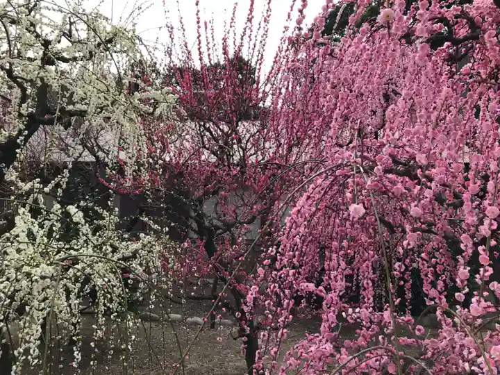 結城神社(三重県)