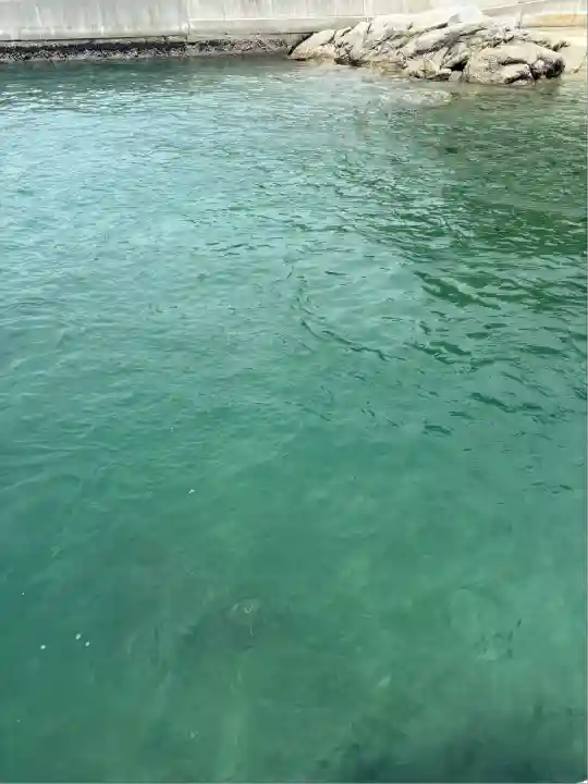 金華山黄金山神社(宮城県)