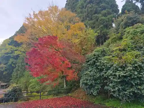 興聖寺(滋賀県)