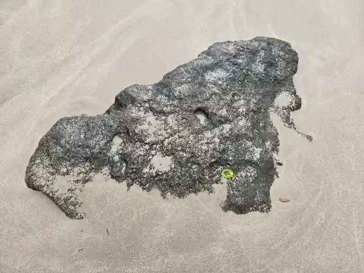 伊古奈比咩命神社(静岡県)