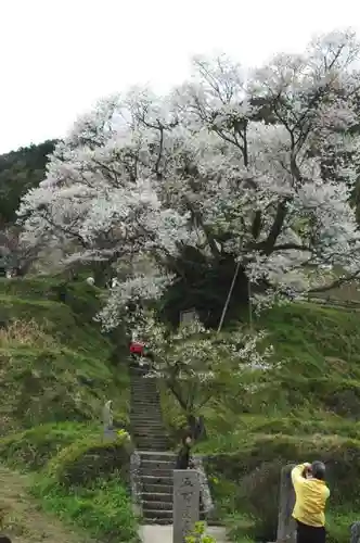 仏隆寺の自然