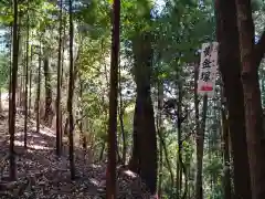 瀧蔵神社の建物その他