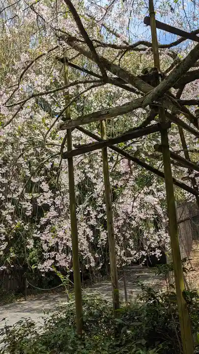 宇治上神社(京都府)