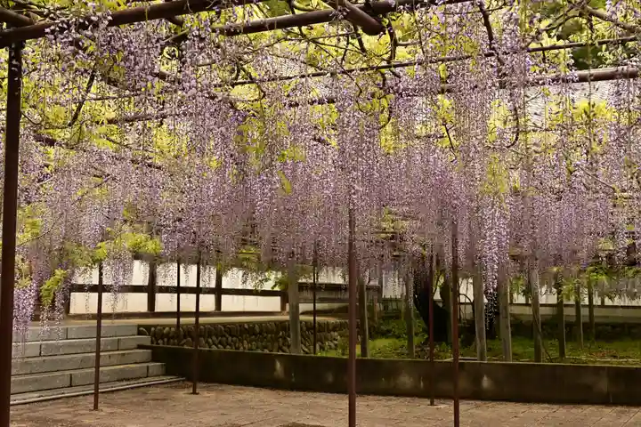 長泉寺(埼玉県)