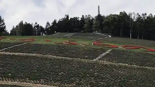 中富良野神社の周辺
