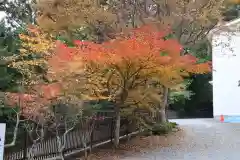 三峯神社の自然