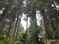 大宮温泉神社(栃木県)