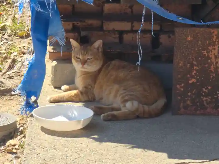 天高大神(大阪府)