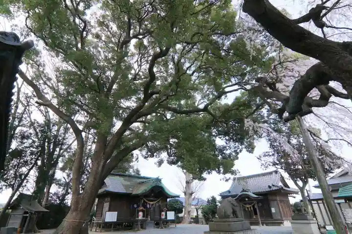 三島八幡神社の景色