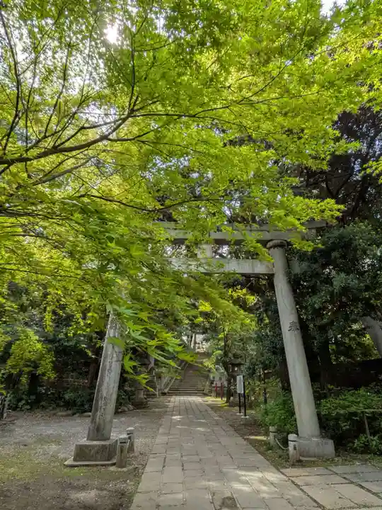 赤坂氷川神社(東京都)