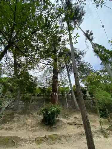 真止戸山神社(岡山県)