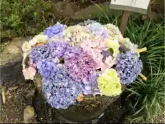 子安神社の手水