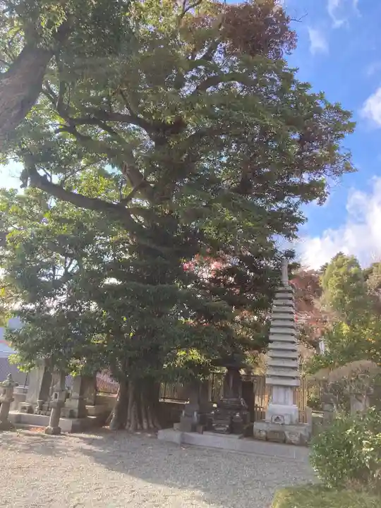 御塔生福寺(神奈川県)
