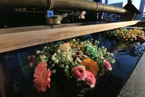 豊景神社の手水