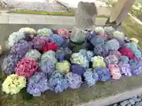 足羽神社(福井県)