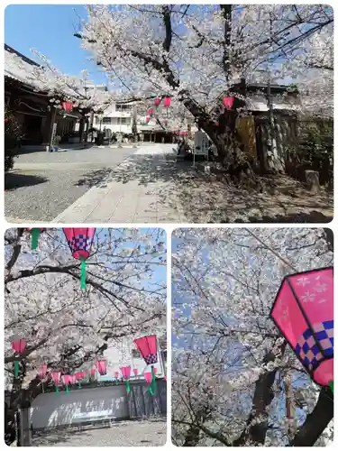 釋迦院（釈迦院）(大阪府)