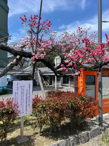 服織神社（真清田神社境内社）(愛知県)