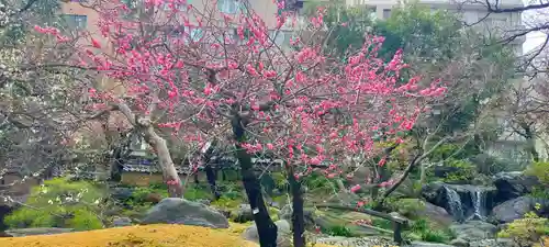 湯島天満宮の庭園