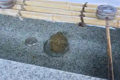 亀有香取神社(東京都)