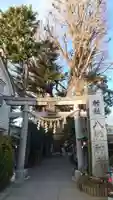 戸越八幡神社(東京都)