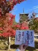 仁和寺(京都府)