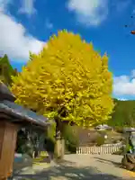 堀越癪観音(和歌山県)