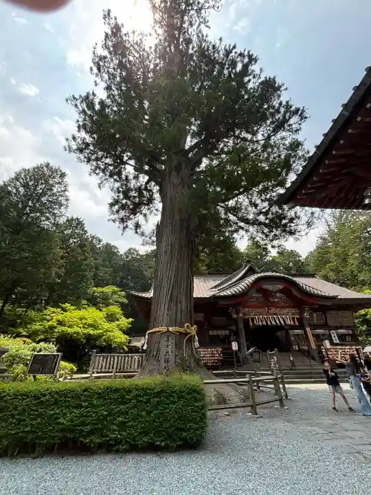 北口本宮冨士浅間神社(山梨県)
