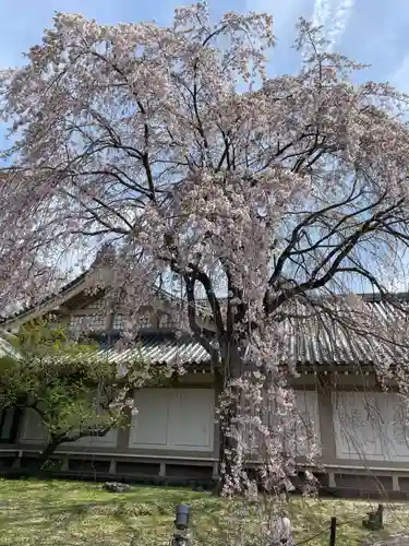 宝聚院(京都府)
